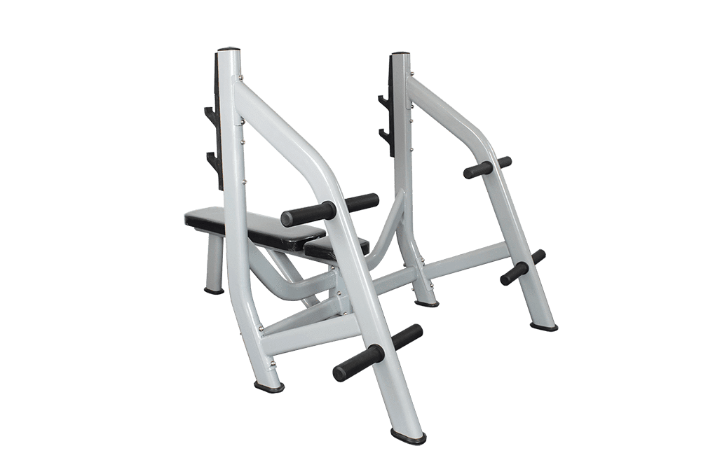 COMMERCIAL FLAT BENCH PRESS OLYMPIC STORAGE WEIGHTS - sweatcentral