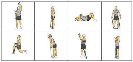 Image of Pair Exercise Powerband Hook Handles - sweatcentral