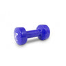 Vinyl Dipped Dumbbells (4KG) PURPLE