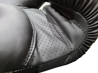 MORGAN ALPHA BOXING GLOVES (12-16oz)