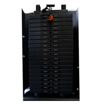 Force USA Functional Trainer Weight Stack Upgrade (2 x 30kg)